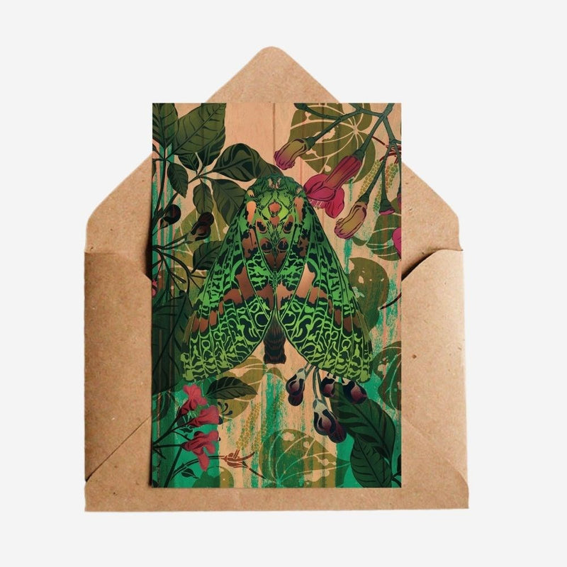 Cards - Moth & Kawakawa - 6 Pack