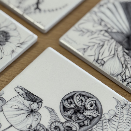 Coaster - Kihikihi / Cicada & Koru of a Punga Fern