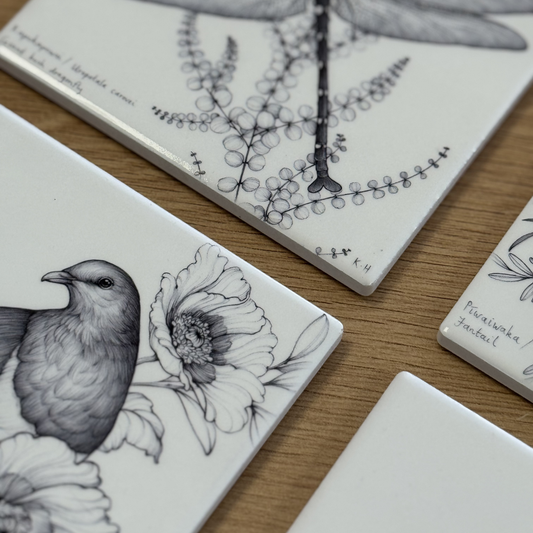 Coaster - Kūkupa / Kererū / Wood Pigeon