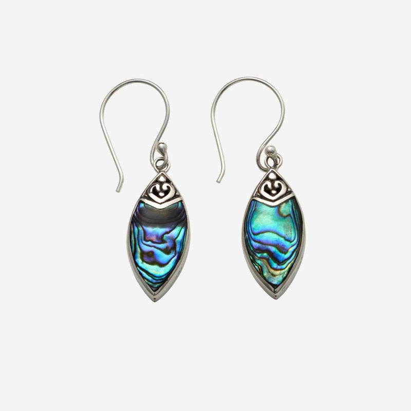 Earrings - Paua Shell