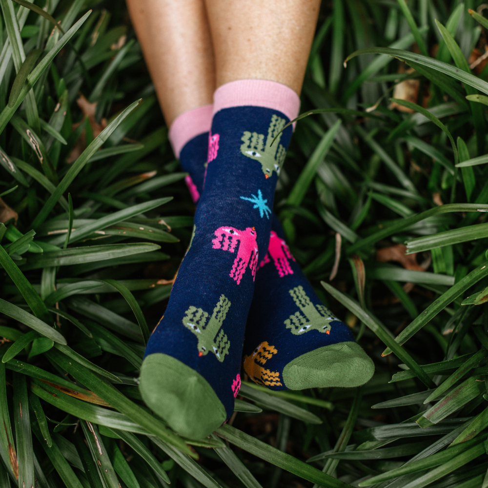 Socks - Birds