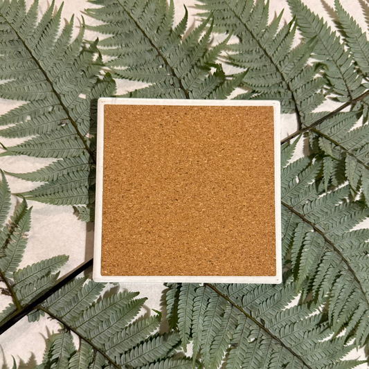 Coaster - Pīwaiwaka/ Fantail