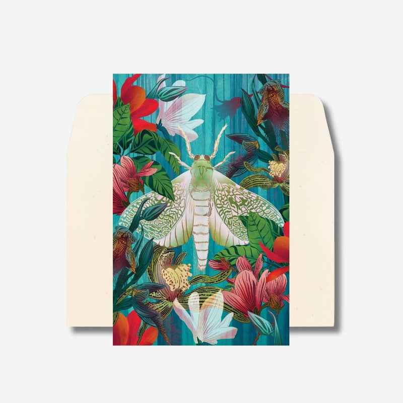 Cards - White Moth & Orchid - 6 Pack