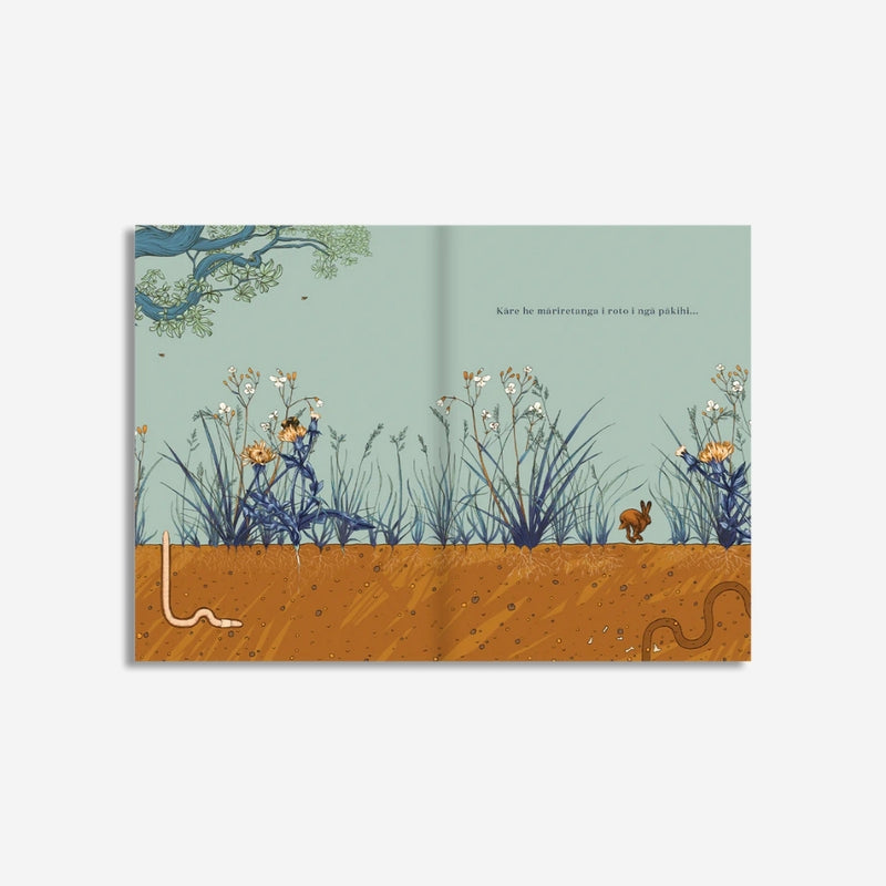 Ko Hea rāua ko Ruru: He Takitaro Mārire