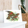 Johannes Keulemans - Card - Kea and Kaka