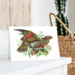 Johannes Keulemans - Card - Kea and Kaka