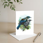 Johannes Keulemans - Card - Tui