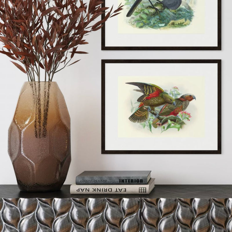 Johannes Keulemans - Print - Kea and Kaka