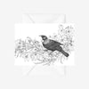 Cards - Home is Here - Tūī - 6 Pack