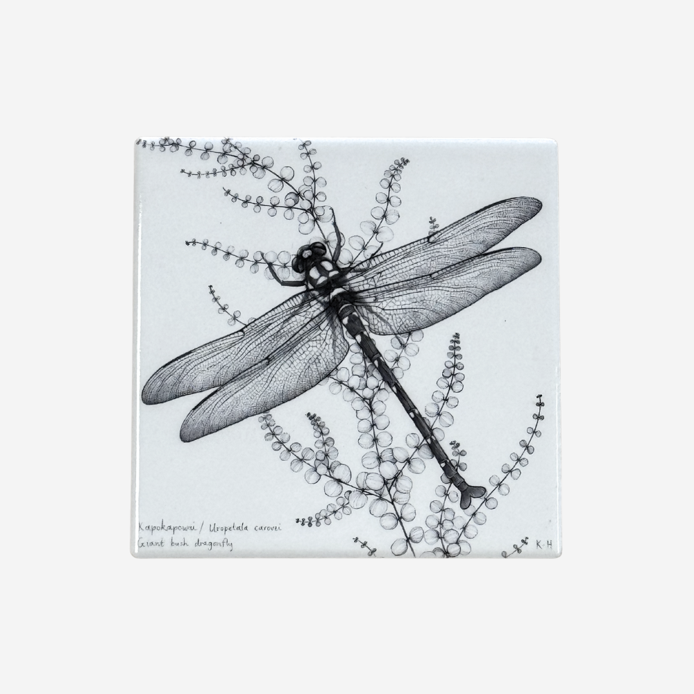 Coaster - NZ Giant Dragonfly / Kapokapowai