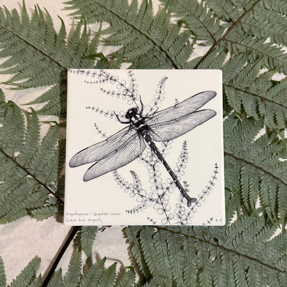 Coaster - NZ Giant Dragonfly / Kapokapowai