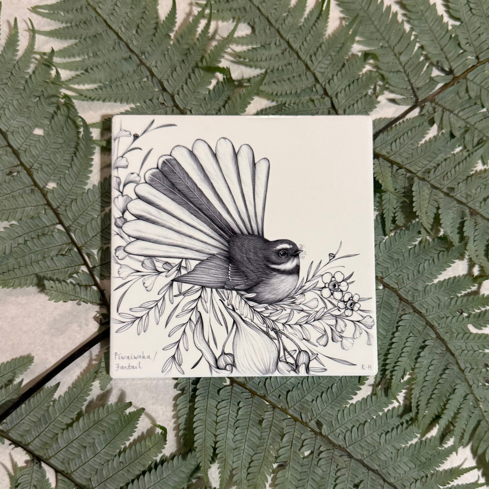 Coaster - Pīwaiwaka/ Fantail