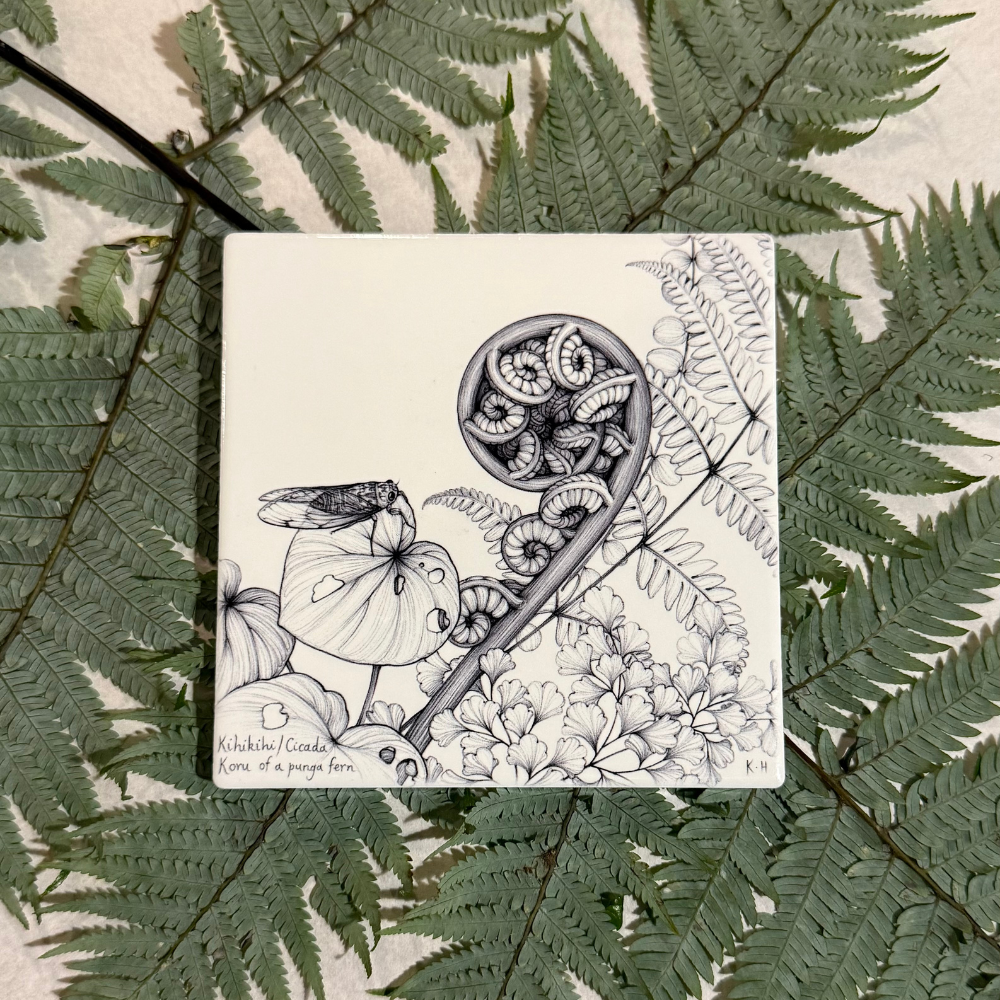Coaster - Kihikihi / Cicada & Koru of a Punga Fern