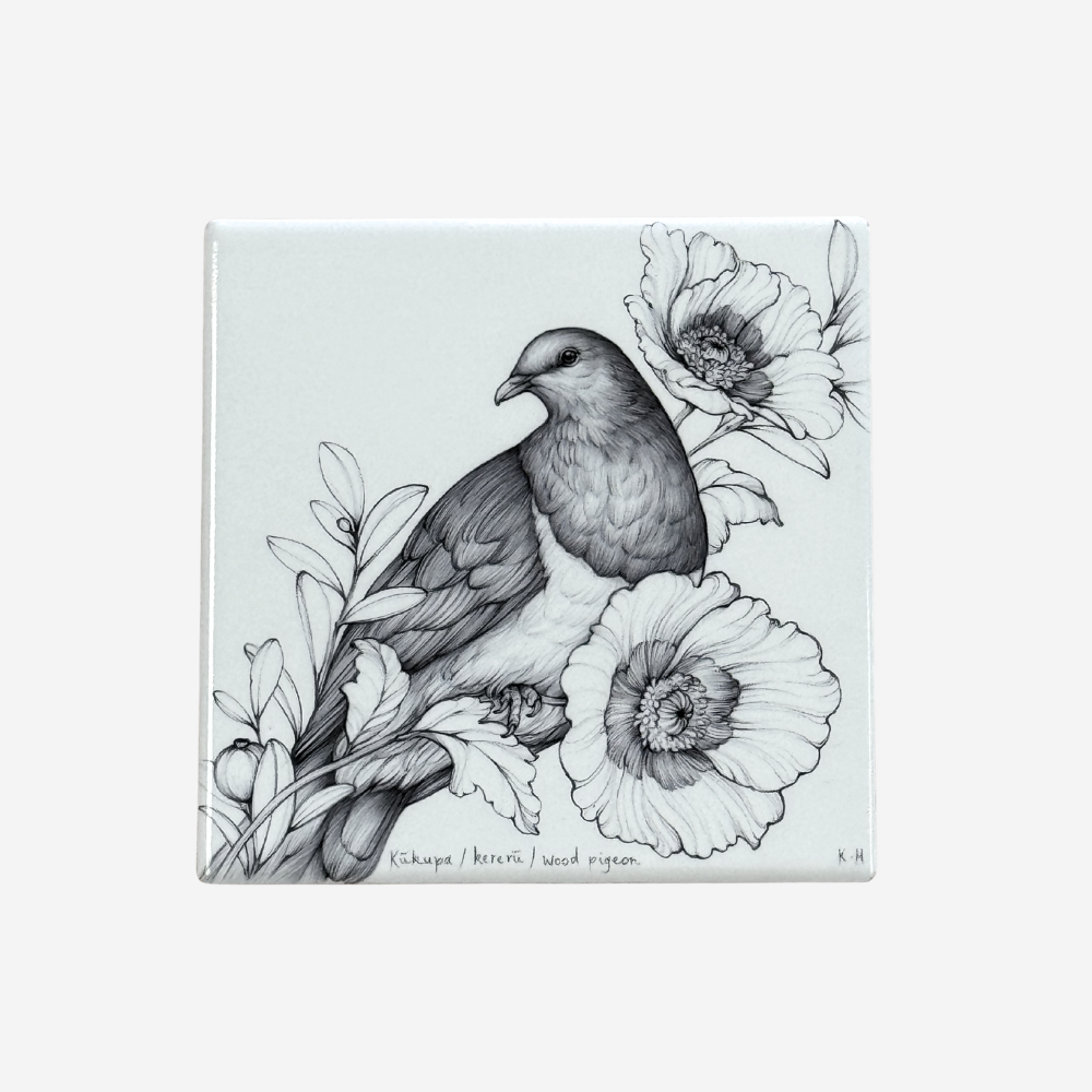 Coaster - Kūkupa / Kererū / Wood Pigeon