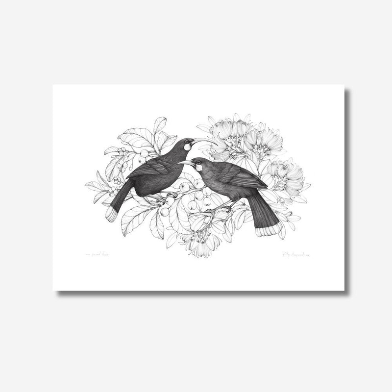 Print - Our Sacred Huia