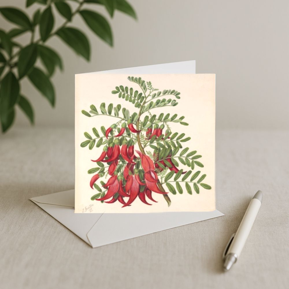 Sarah Featon - Card - Kowhai-ngutu-kaka