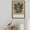 Sarah Featon - Print - Kohekohe