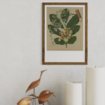 Sarah Featon - Print - Kohekohe