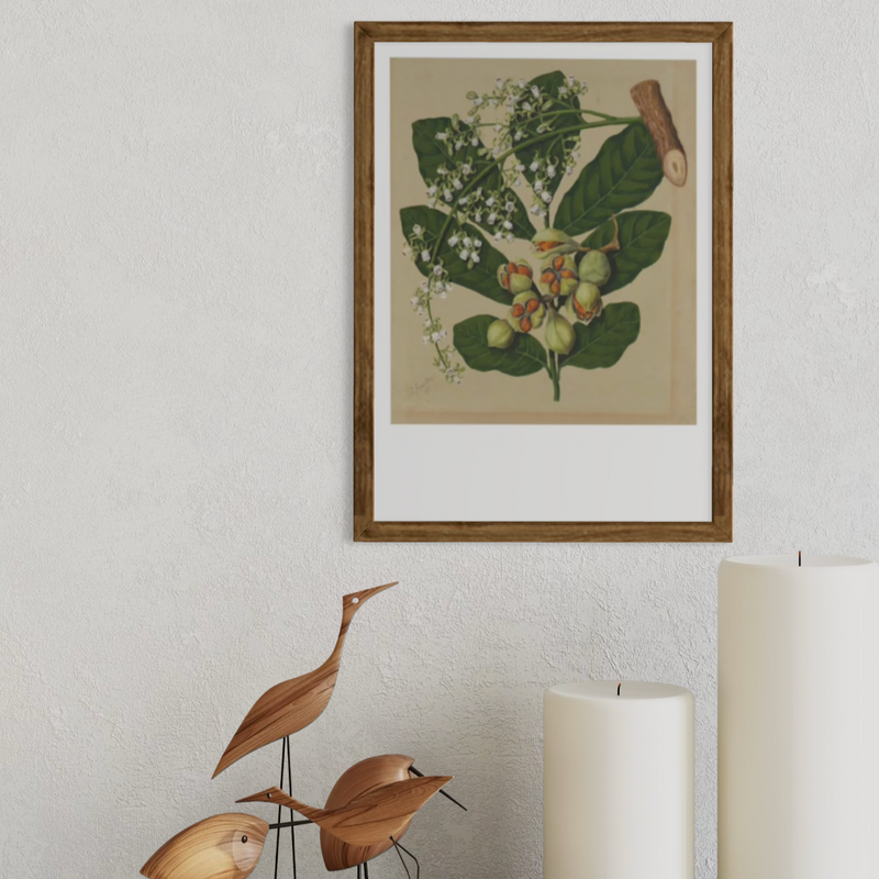 Sarah Featon - Print - Kohekohe