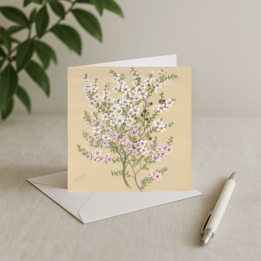 Sarah Featon - Card - Manuka