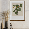 Sarah Featon - Print - Kawakawa