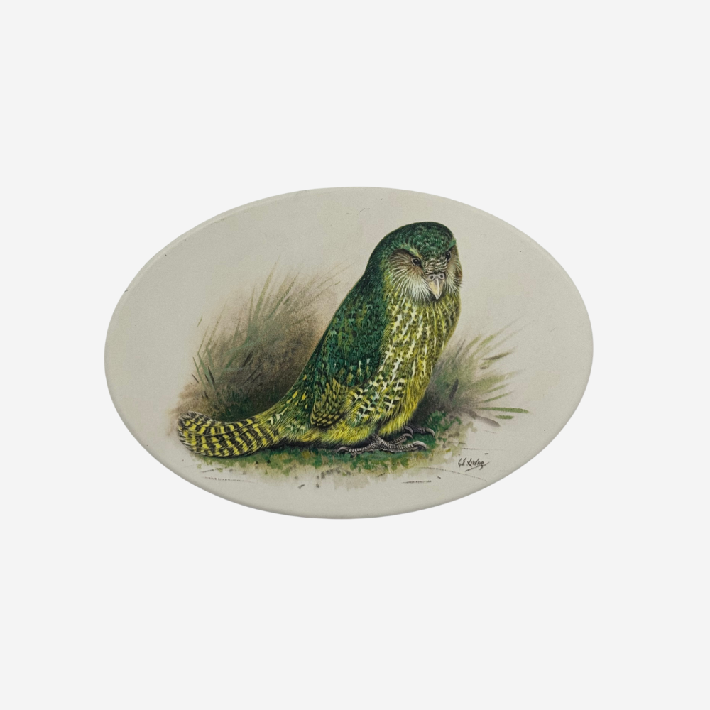 George Lodge - Art Tile - Kakapo