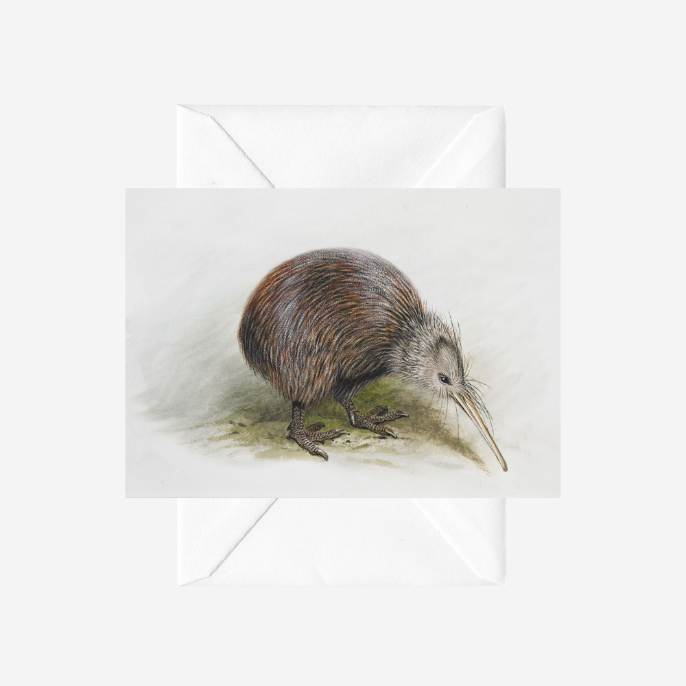 George Lodge - Card - Kiwi