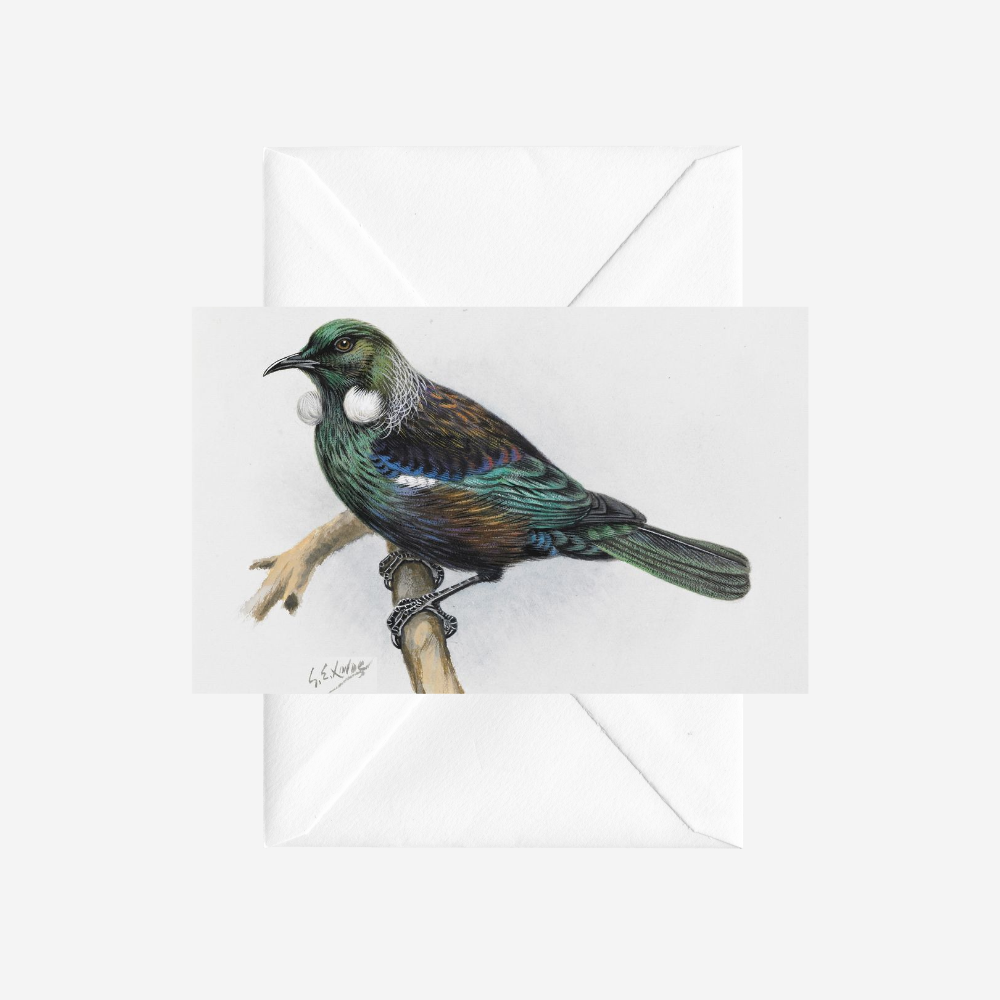 George Lodge - Card - Tui