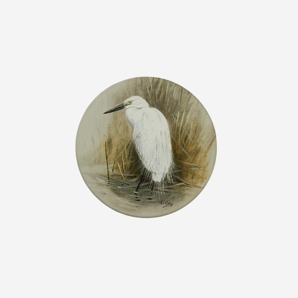 George Lodge - Coaster - Kotuku
