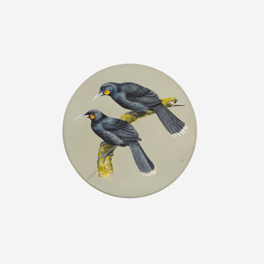 George Lodge - Coaster - Huia