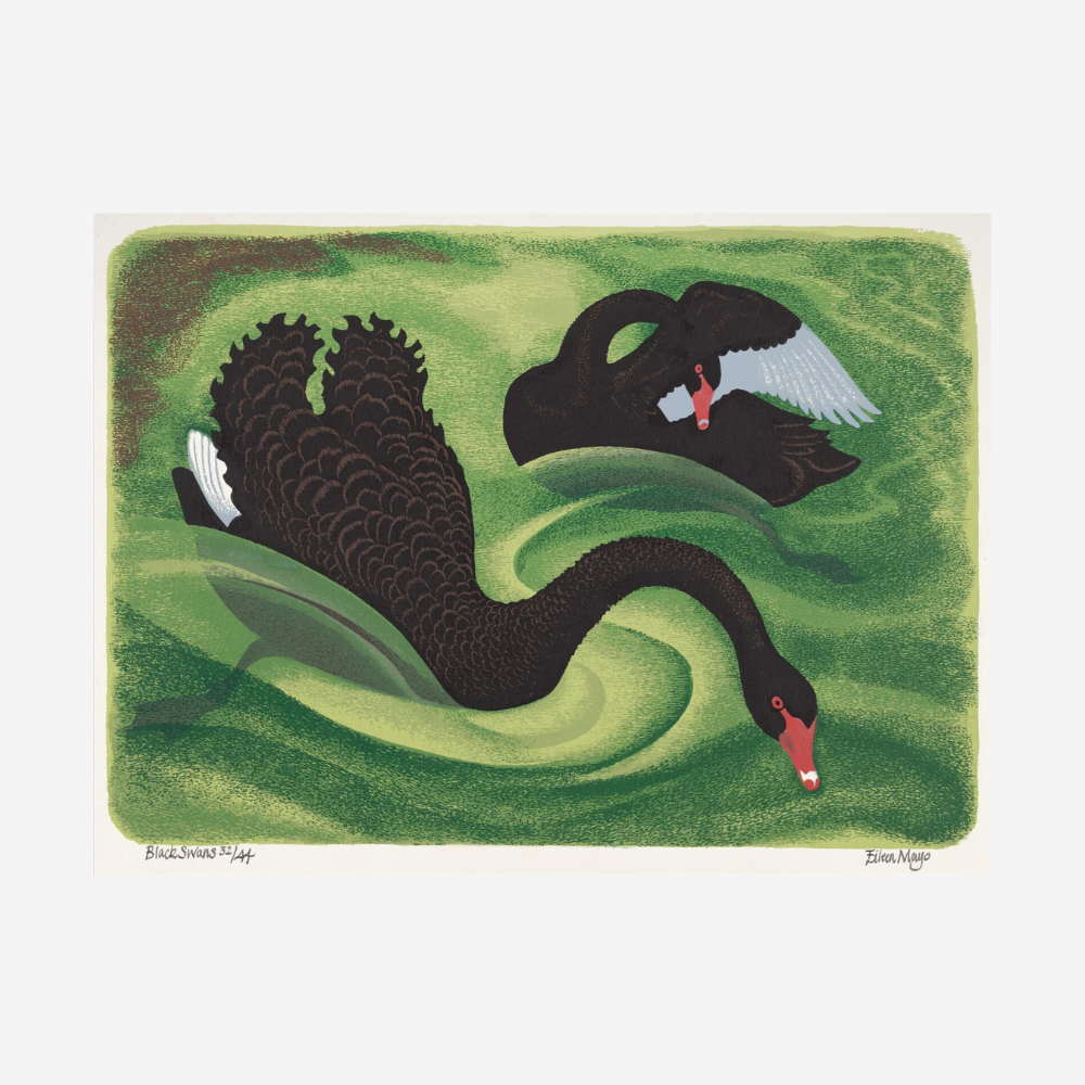 Eileen Mayo - Print - Black Swans