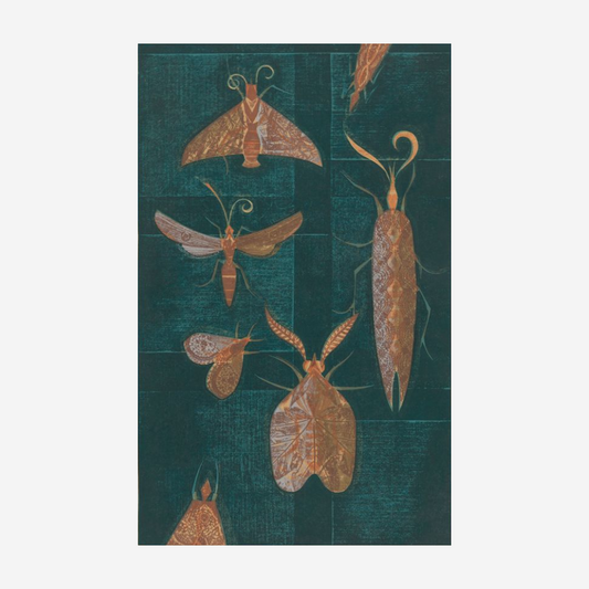 Eileen Mayo - Print - Moths on the window