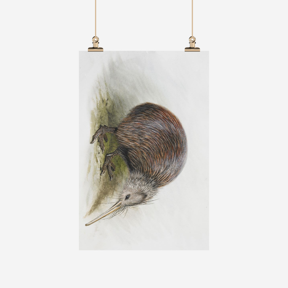 George Lodge - Tea Towel - Kiwi