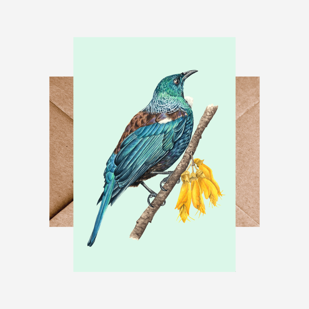 Card - Tui