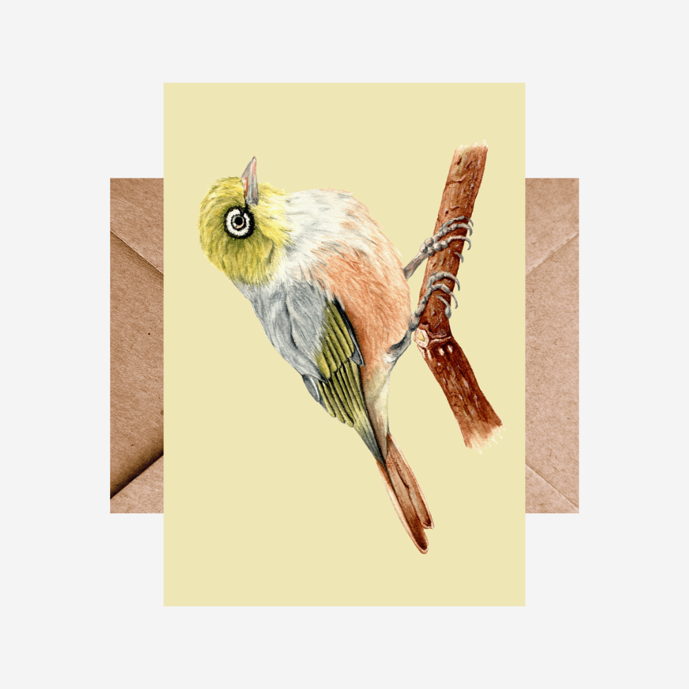 Card - Waxeye