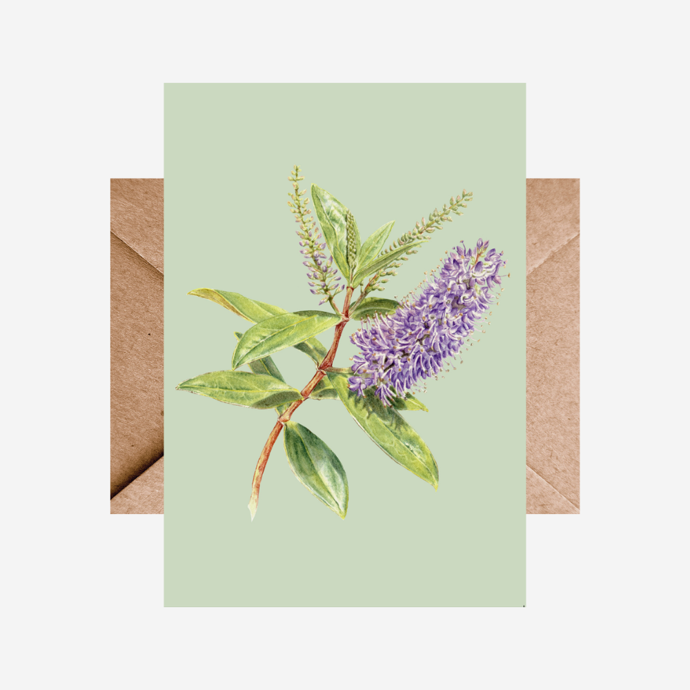 Card - Hebe Single