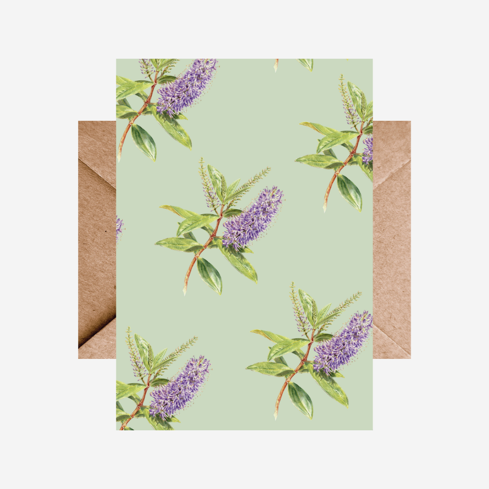 Card - Hebe Multi