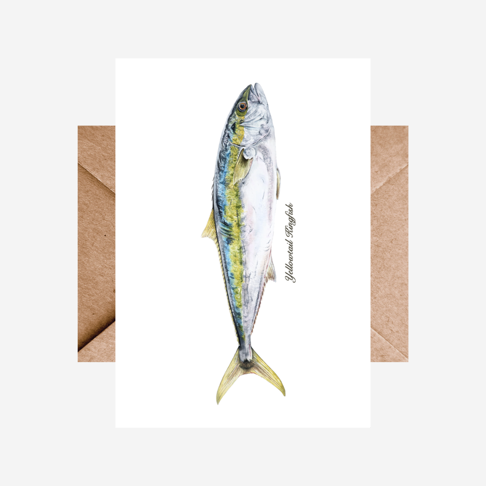 Card - Kingfish Single