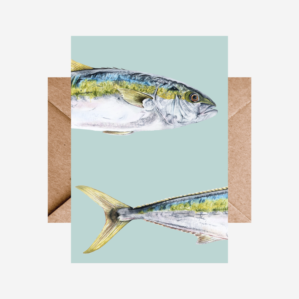 Card - Kingfish Multi