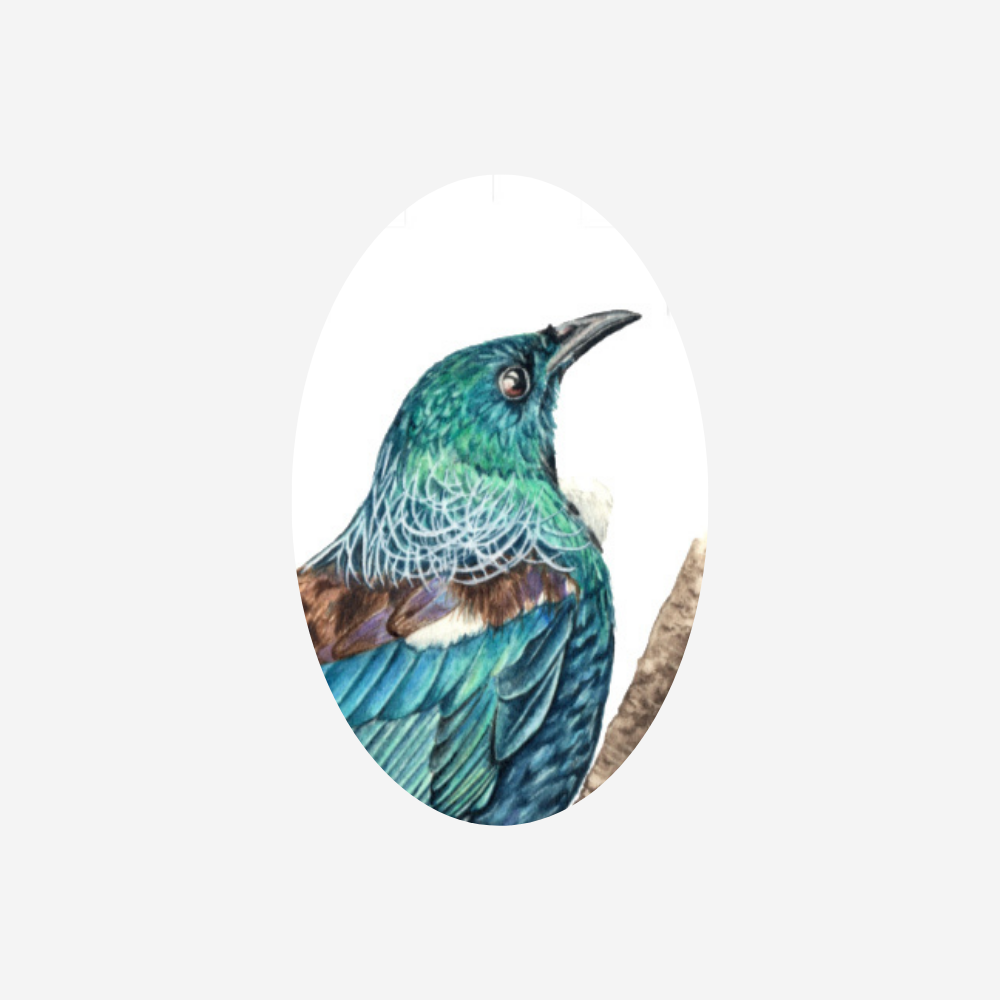 Gift Tag - Tui