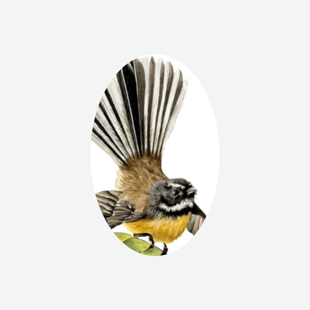 Gift Tag - Fantail