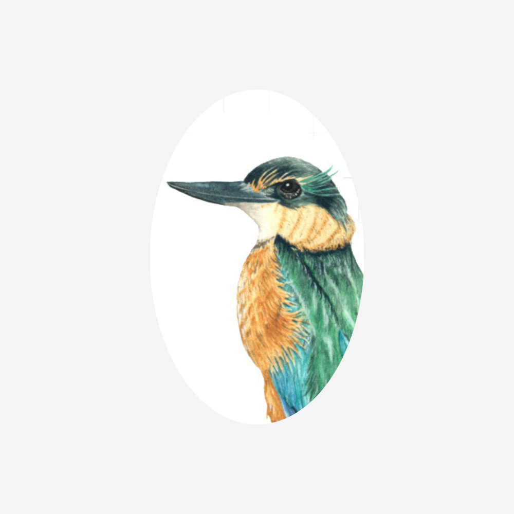 Gift Tag - Kingfisher
