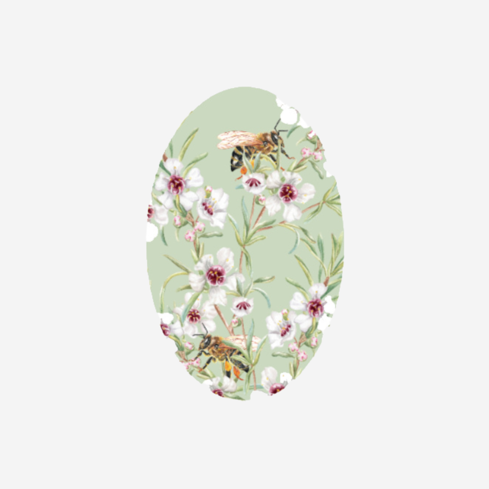 Gift Tag - Kānuka