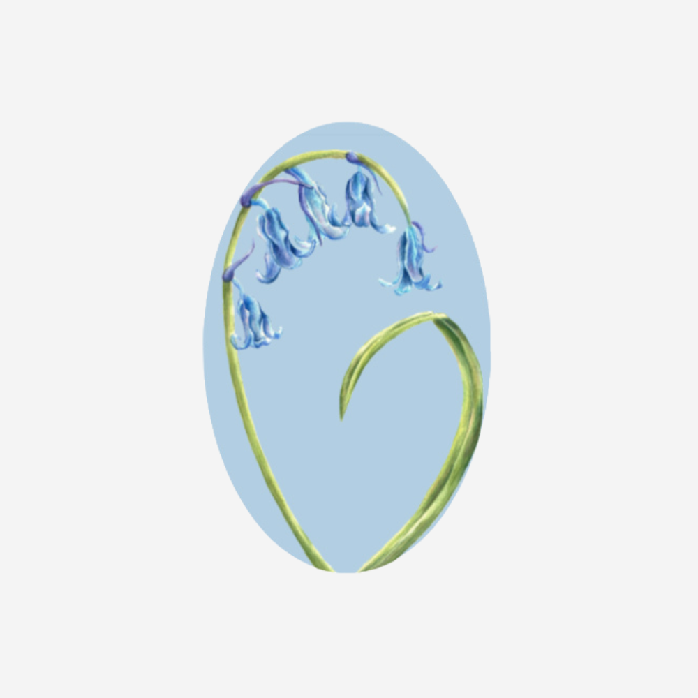 Gift Tag - Bluebells