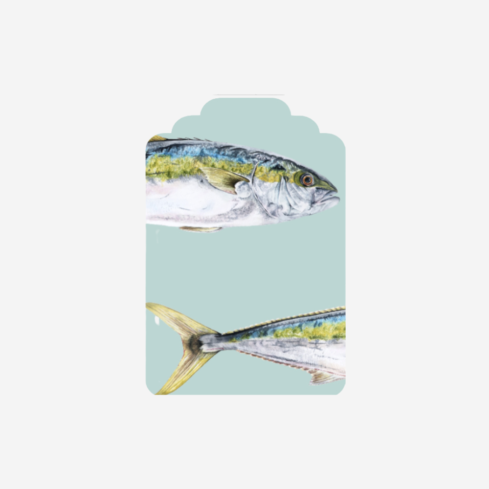 Gift Tag - Kingfish Single