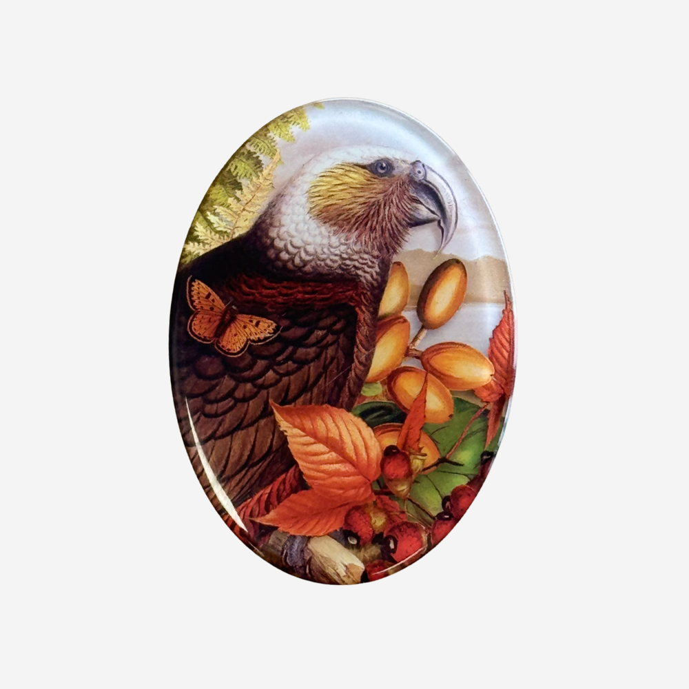 Fridge Magnet - Vintage - Kaka