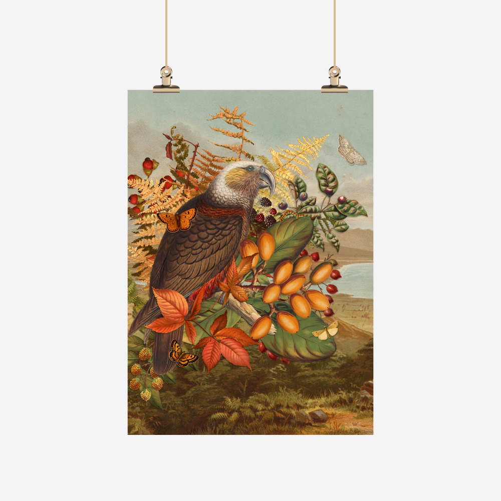 Tea Towel - Vintage - Kaka