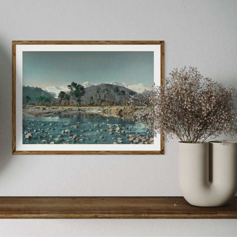 Whites Aviation - Print - Clearwater