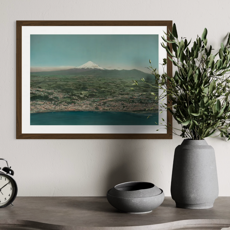 Whites Aviation - Print - New Plymouth