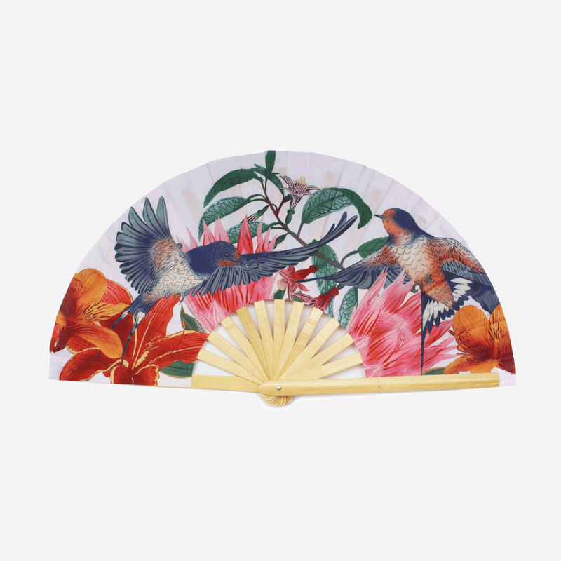 Fan